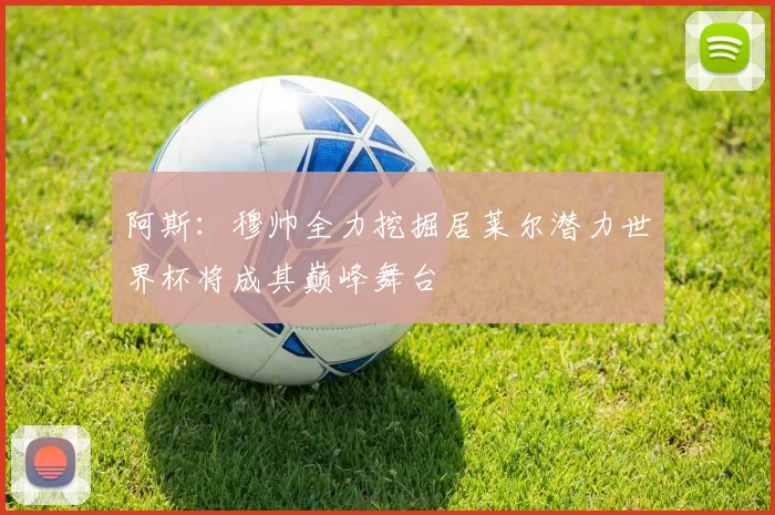 阿斯：穆帅全力挖掘居莱尔潜力世界杯将成其巅峰舞台